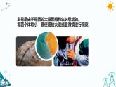 蘇教版五年級下冊科學1.3《發(fā)霉與防霉》課件+教案+習題