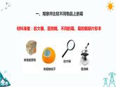 蘇教版五年級下冊科學1.3《發(fā)霉與防霉》課件+教案+習題