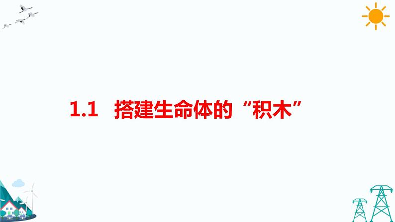 苏教版五年级下册科学1.1《搭建生命体的“积木”》课件+教案+习题01