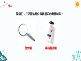 蘇教版五年級(jí)下冊(cè)科學(xué)1.1《搭建生命體的“積木”》課件+教案+習(xí)題