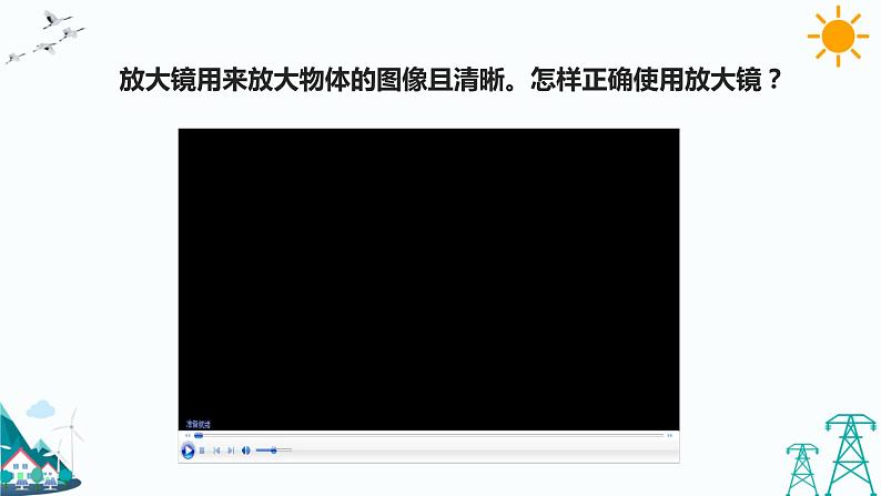 苏教版五年级下册科学1.1《搭建生命体的“积木”》课件+教案+习题03