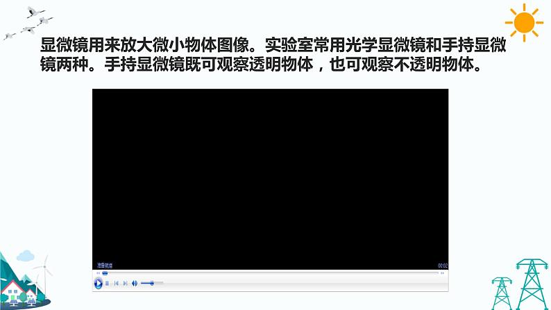 苏教版五年级下册科学1.1《搭建生命体的“积木”》课件+教案+习题04