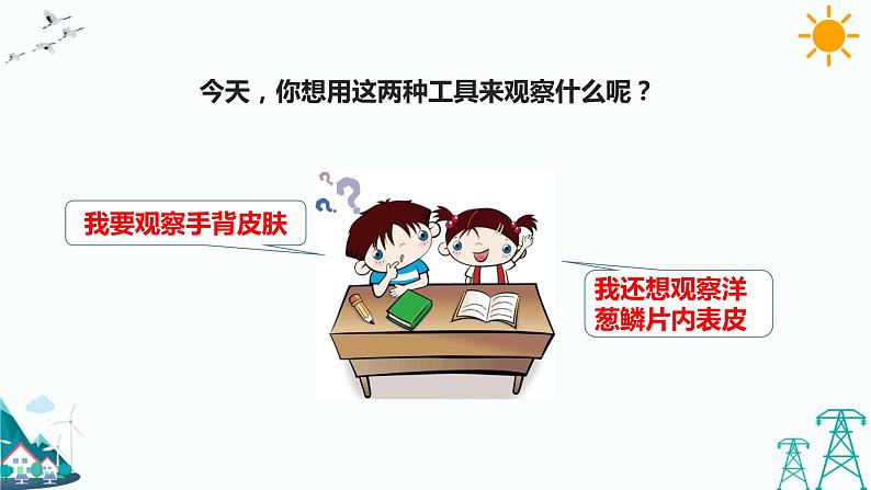 苏教版五年级下册科学1.1《搭建生命体的“积木”》课件+教案+习题05