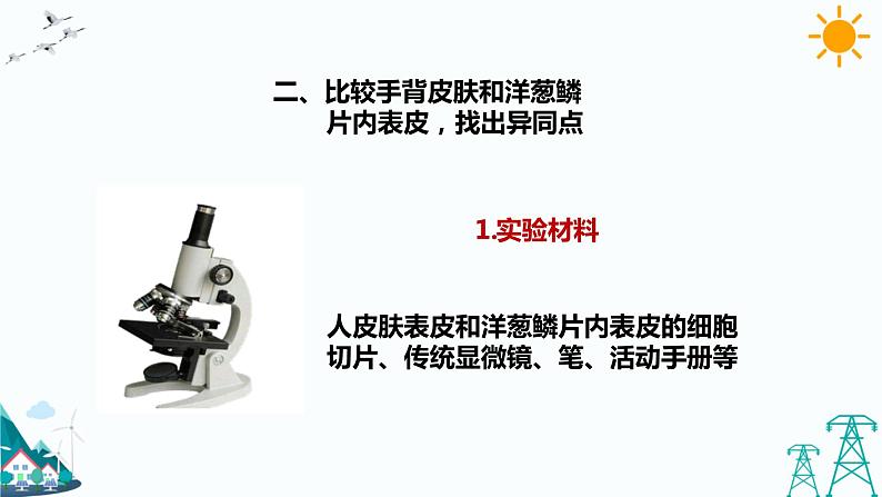 苏教版五年级下册科学1.1《搭建生命体的“积木”》课件+教案+习题08