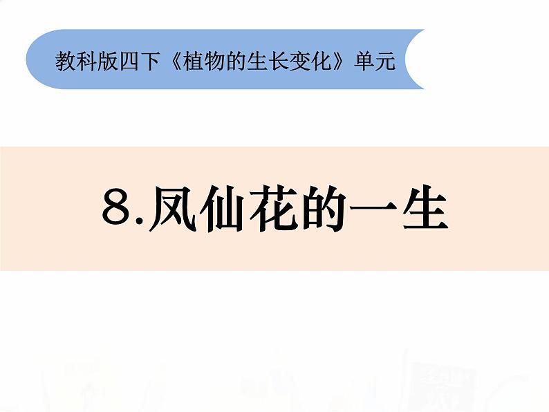 教科版小学科学四下1-8《凤仙花的一生》课件+教案01
