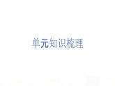 教科版小學科學四下2-9《單元梳理》課件+教案