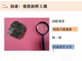 教科版小学科学四下3-6《观察土壤》课件+教案