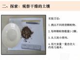 教科版小学科学四下3-6《观察土壤》课件+教案