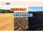 教科版小学科学四下3-7《比较土壤的不同》课件+教案