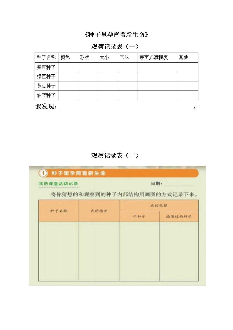 教科版小学科学四下1-1《种子里孕育着新生命》课件+教案01