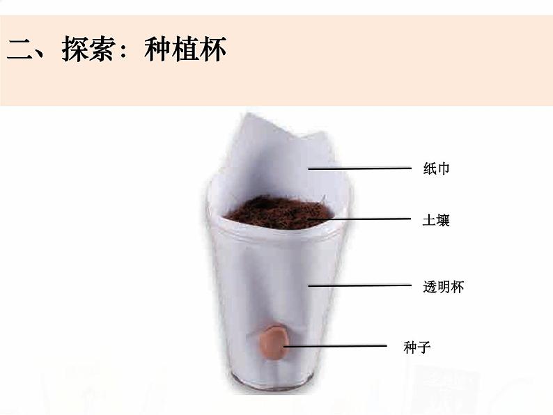 教科版小学科学四下1-2《种植凤仙花》课件+教案06