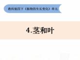 教科版小学科学四下1-4《茎和叶》课件+教案