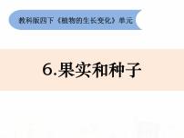 2021学年6.果实和种子教学演示课件ppt