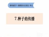 教科版小学科学四下1-7《种子的传播》课件+教案
