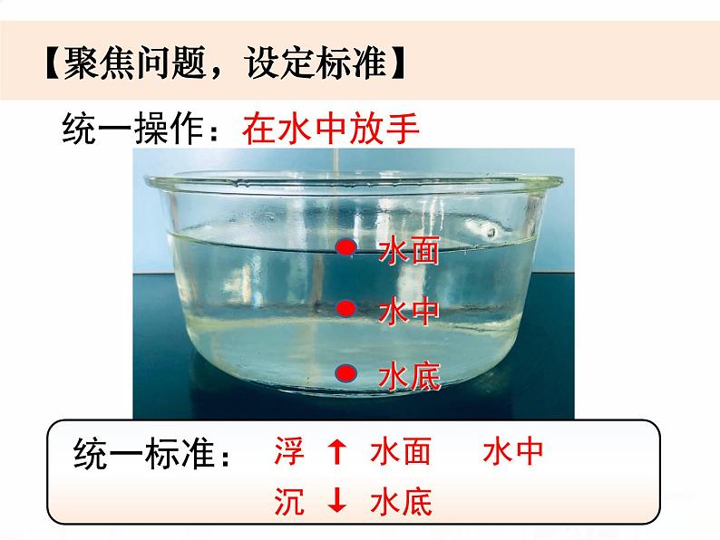 教科版小学科学五下1-1《物体在水中是沉还是浮》课件+教案03