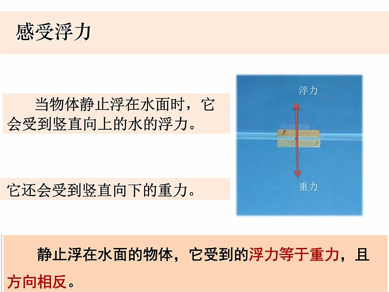教科版小学科学五下1-5《浮力》教学课件第4页