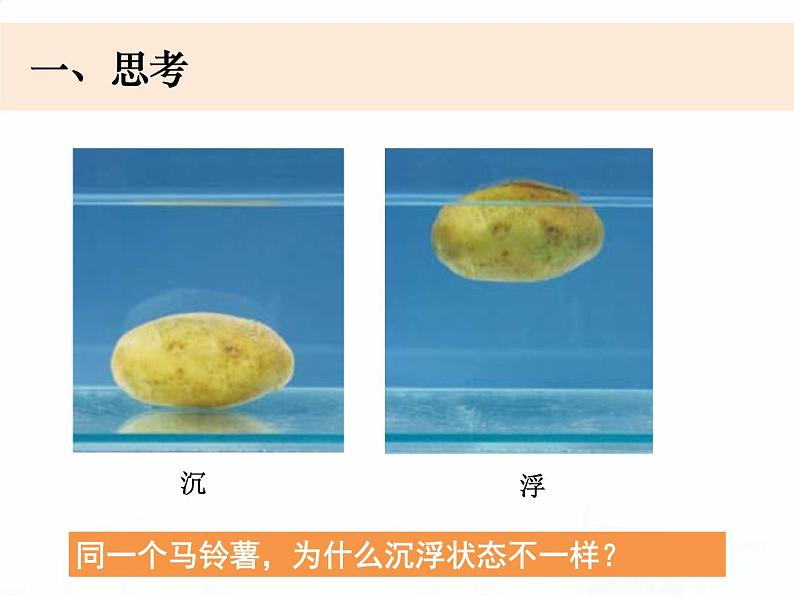 教科版小学科学五下1-7《马铃薯在液体中的沉浮》课件+教案02