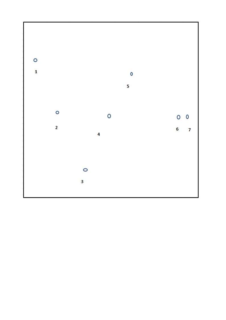 教科版小学科学六下3-6《在星空中（一）》课件+教案01