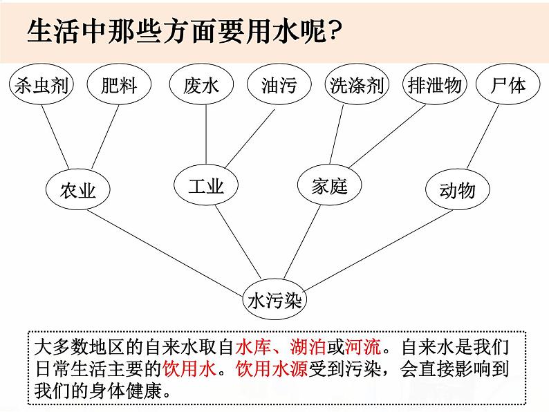 教科版小学科学六下4-6《污水和污水处理》教学课件第4页