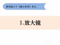 小学科学教科版六年级下册1、放大镜图片ppt课件