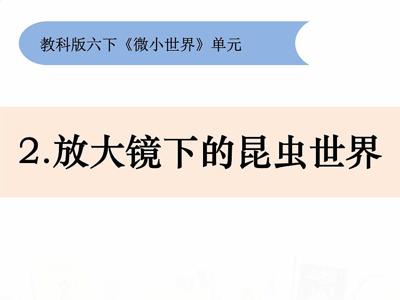 教科版小学科学六下1-2《放大镜下的昆虫世界》教学课件第1页