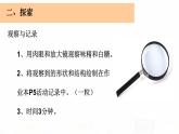 教科版小学科学六下1-3《放大镜下的晶体》课件+教案