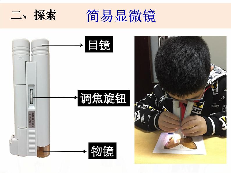 教科版小学科学六下1-4《怎样放得更大》课件+教案06