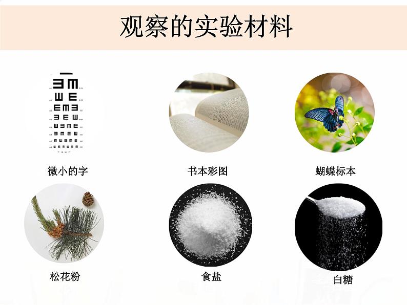 教科版小学科学六下1-4《怎样放得更大》课件+教案07