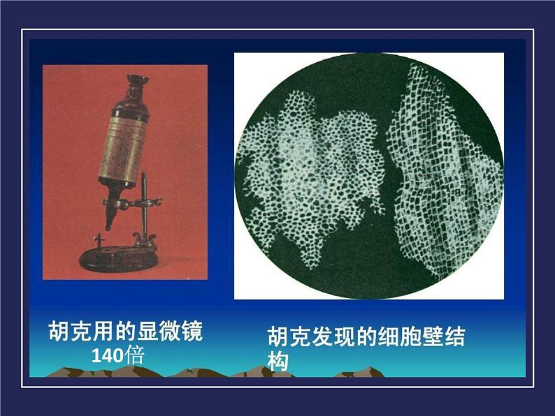 教科版小学科学六下1-6用显微镜观察身边的生命世界二 陈朋课件PPT02