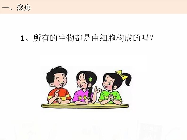 教科版小学科学六下1-6用显微镜观察身边的生命世界二 陈朋课件PPT04