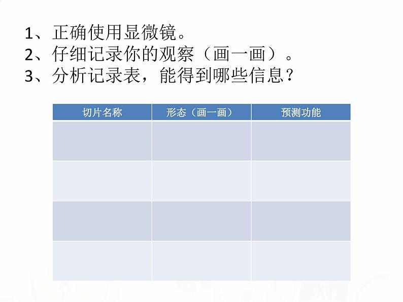 教科版小学科学六下1-6用显微镜观察身边的生命世界二 陈朋课件PPT07