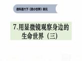 教科版小学科学六下1-7《用显微镜观察身边的生命世界（三）》课件+教案