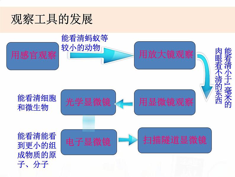 教科版小学科学六下1-8《微小世界和我们》课件+教案06