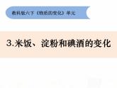 教科版小学科学六下2-3《米饭、淀粉和碘酒的变化》课件+教案