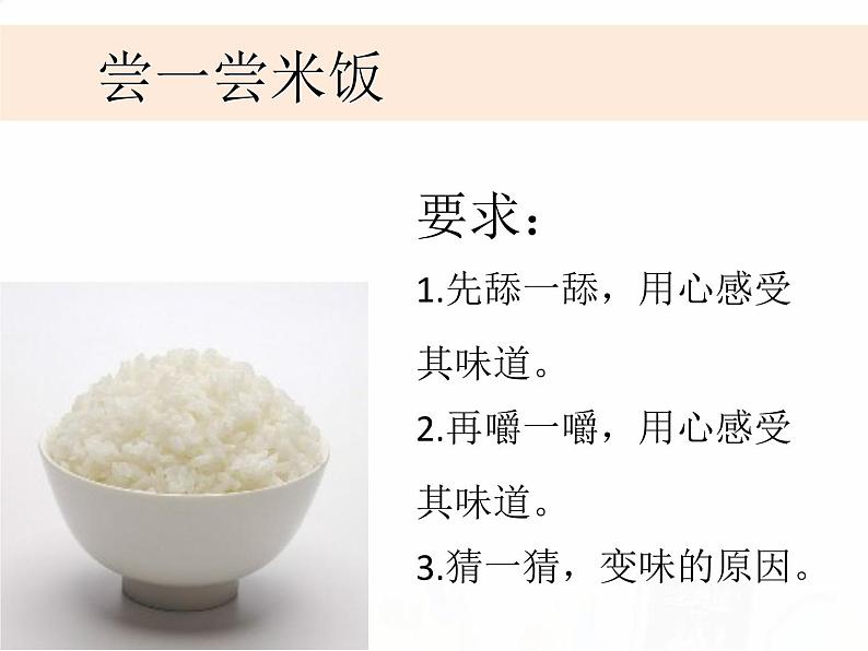 教科版小学科学六下2-3《米饭、淀粉和碘酒的变化》课件+教案03
