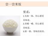 教科版小学科学六下2-3《米饭、淀粉和碘酒的变化》课件+教案
