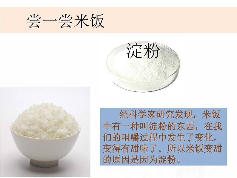 教科版小学科学六下2-3《米饭、淀粉和碘酒的变化》课件+教案04