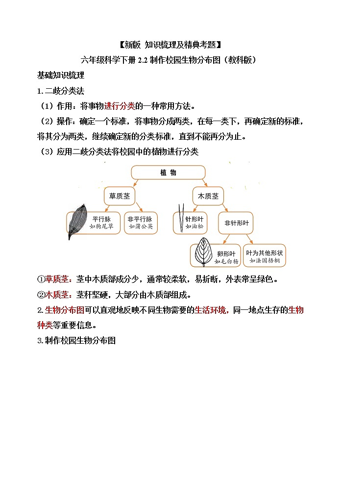 教科版六年级科学下册2.2制作校园生物分布图[知识梳理及典型考题]01