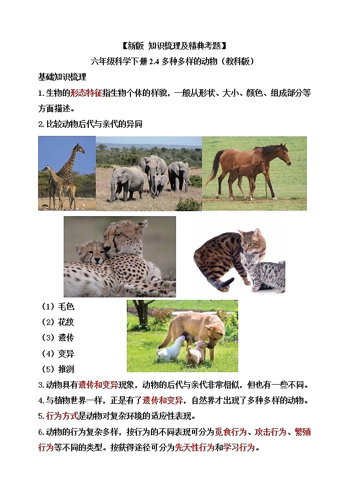教科版六年级科学下册2.4多种多样的动物[知识梳理及典型考题]第1页