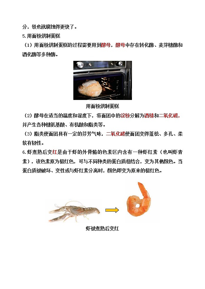 教科版六年级科学下册4.3发现变化中的新物质[知识梳理及典型考题]第3页