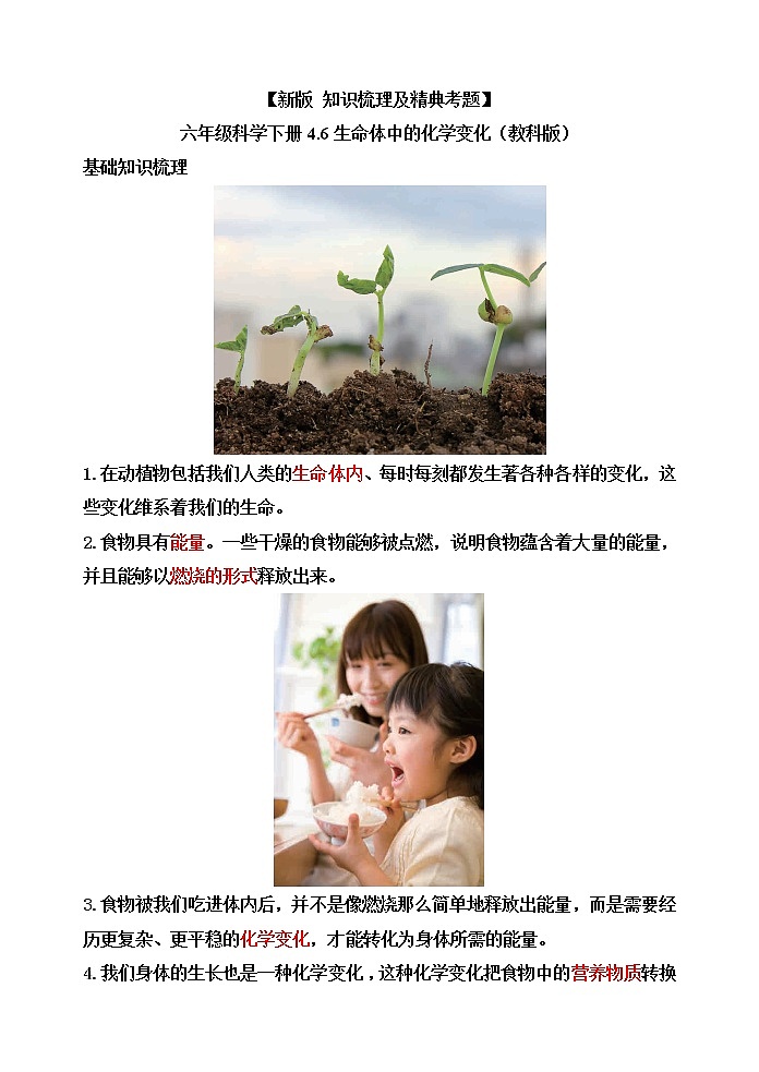 教科版六年级科学下册4.6生命体中的化学变化[知识梳理及典型考题]第1页