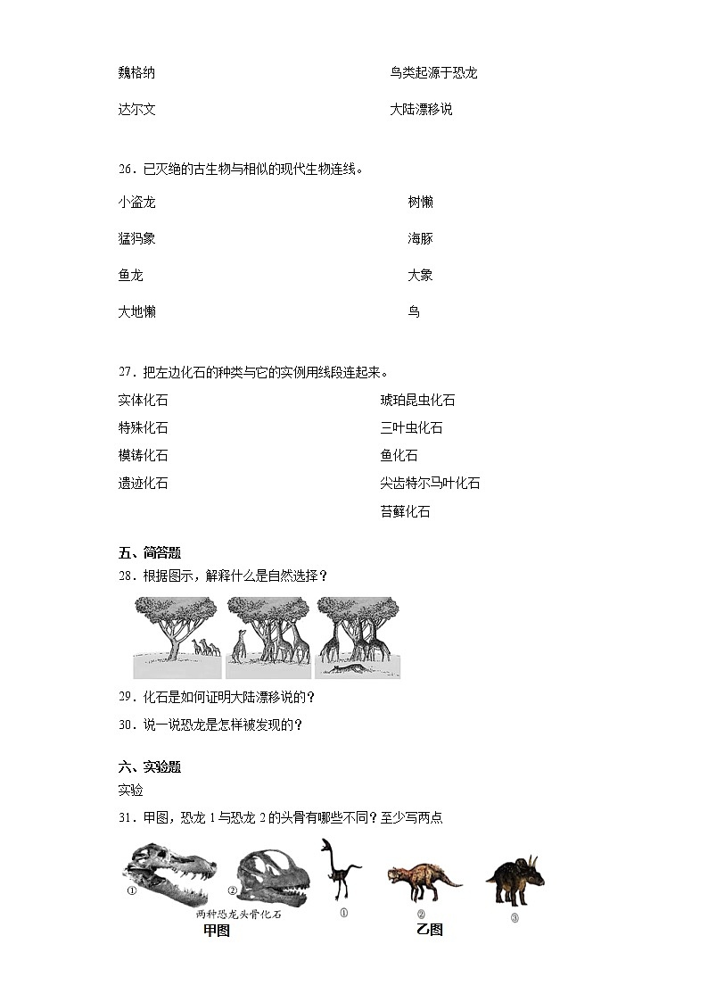 苏教版六年级上册科学第三单元化石的奥秘检测A卷（含答案）03
