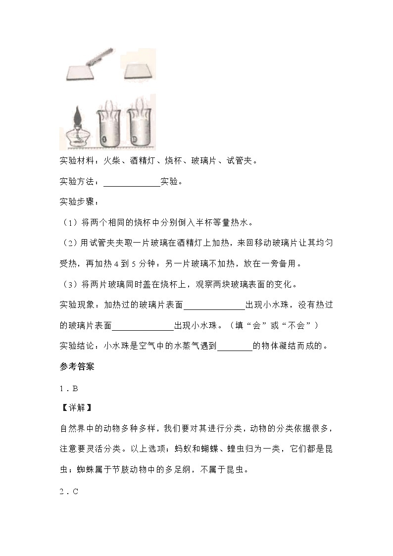 （教科版）2021-2022学年科学四年级上册期末素质测试科学试卷（试题）（含答案）03