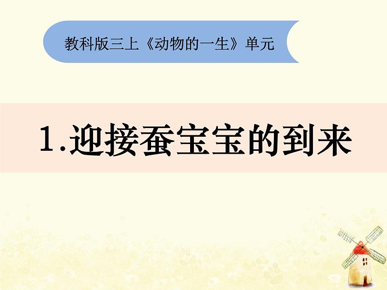 教科版小学科学三下2-1《迎接蚕宝宝的到来》课件+教案01