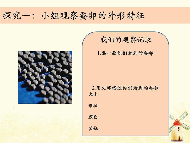 教科版小学科学三下2-1《迎接蚕宝宝的到来》课件+教案07