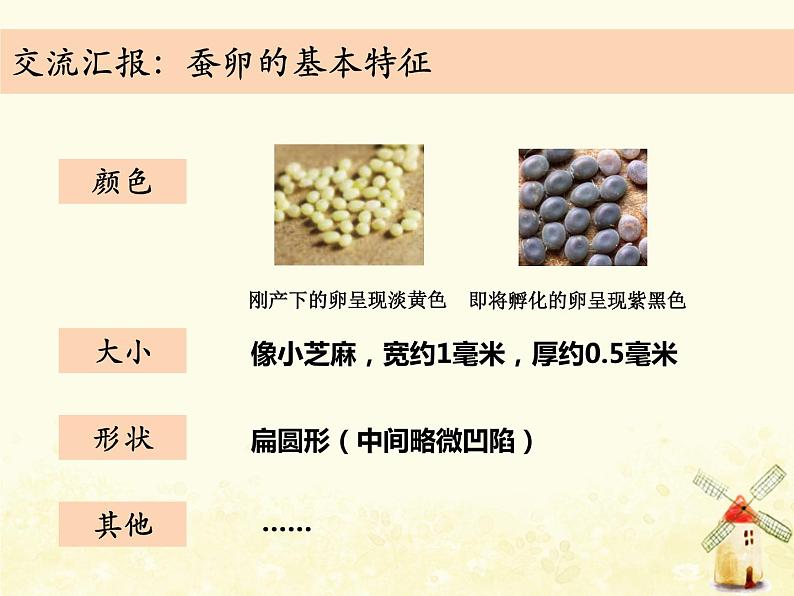 教科版小学科学三下2-1《迎接蚕宝宝的到来》课件+教案08