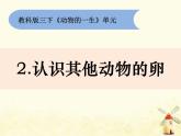 教科版小学科学三下2-2《认识其他动物的卵》课件+教案
