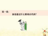 教科版小学科学三下2-2《认识其他动物的卵》课件+教案