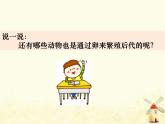 教科版小学科学三下2-2《认识其他动物的卵》课件+教案