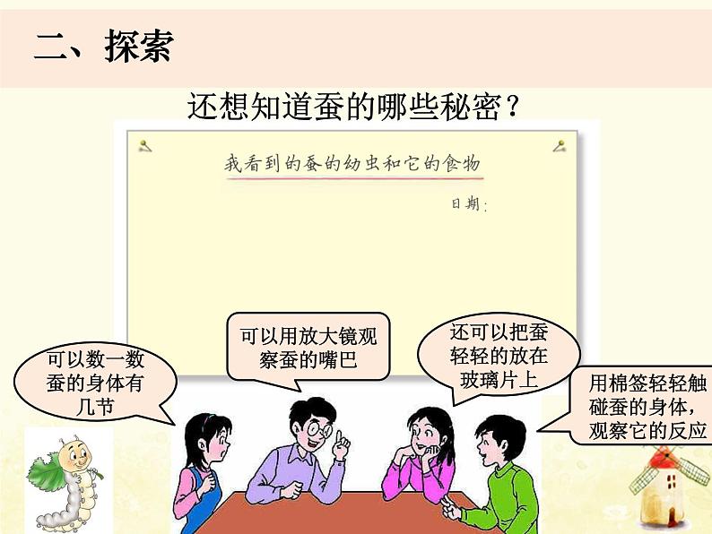 3.《蚕长大了》课件 教科版小学科学三下第8页